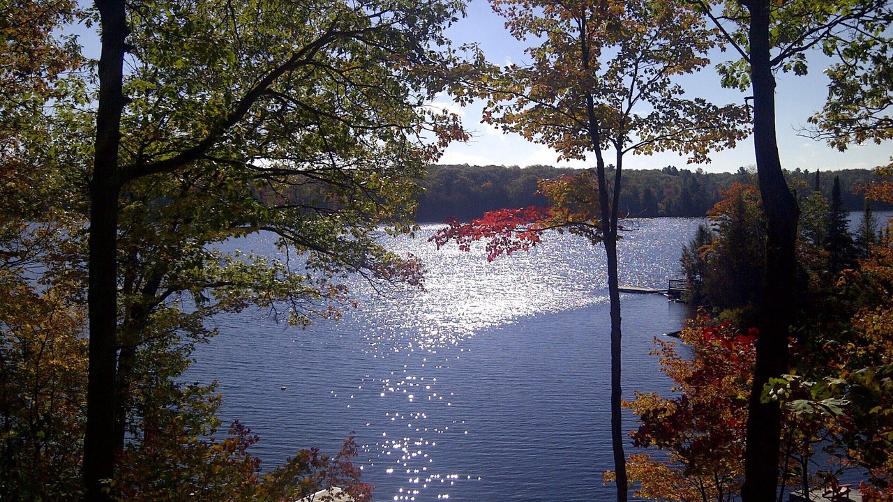 Photo of Others in Whitestone