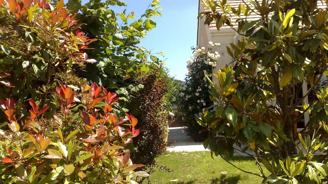 Photo of Outdoor in Magny-le-Hongre