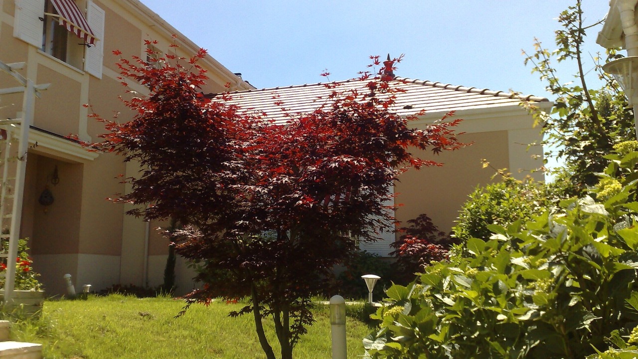 Photo of Outdoor in Magny-le-Hongre