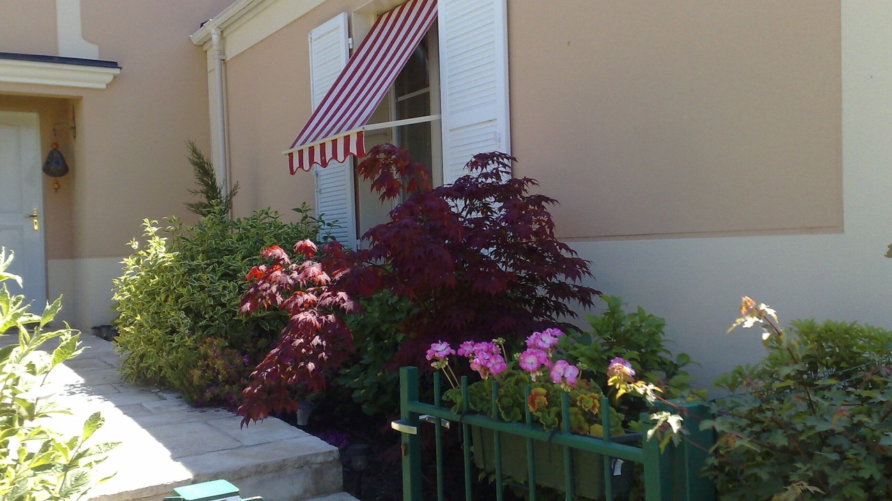 Photo of Others in Magny-le-Hongre
