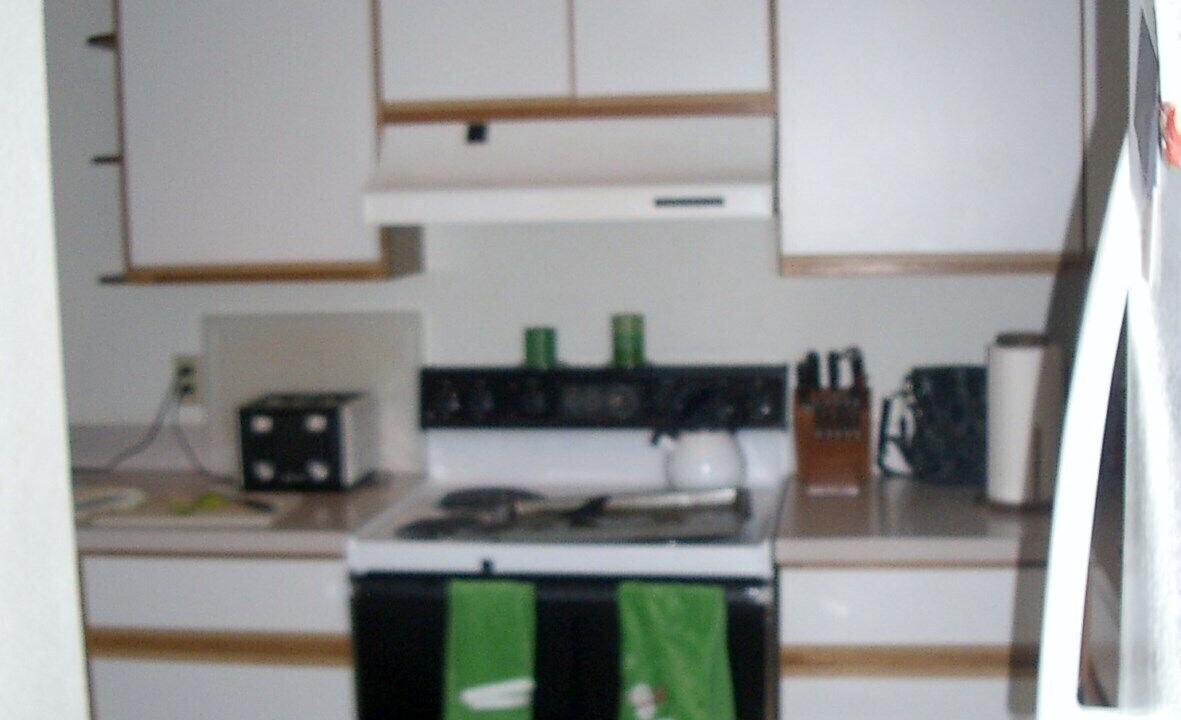 Photo of Kitchen in New Port Richey