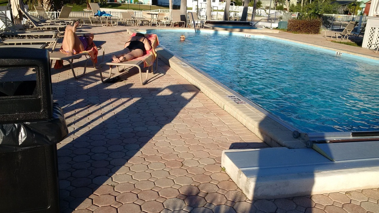Photo of Outdoor in New Port Richey