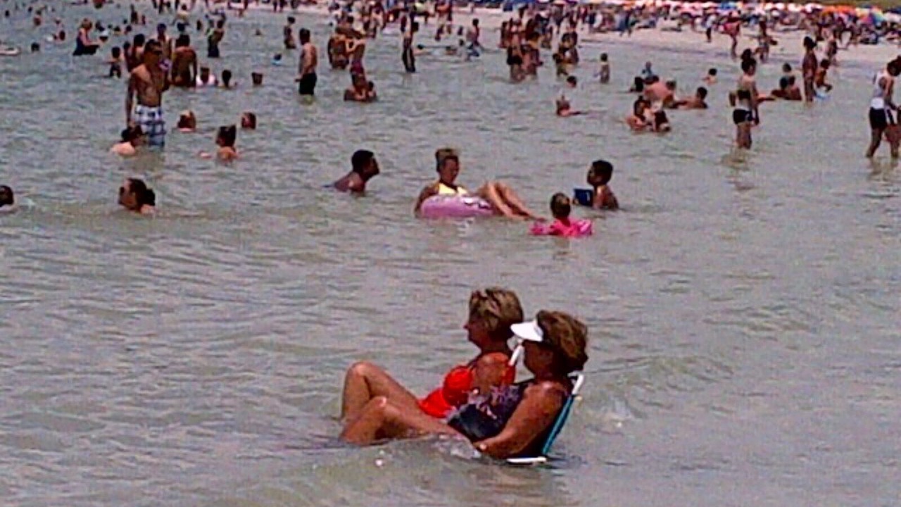 Photo of Others in New Port Richey
