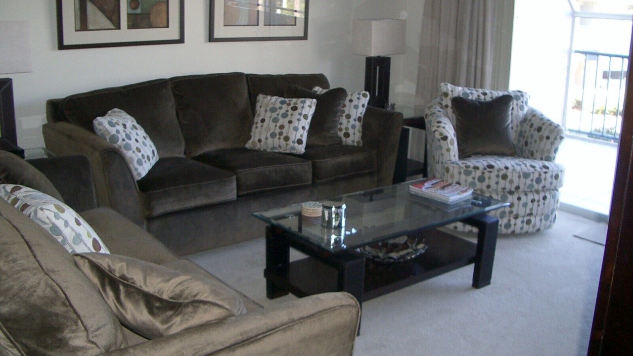 Photo of Livingroom in New Port Richey