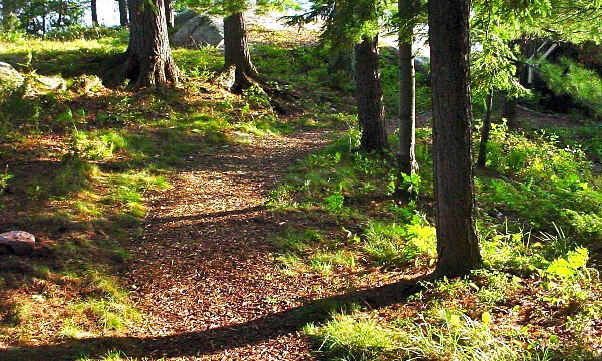 Photo of Outdoor in Seguin