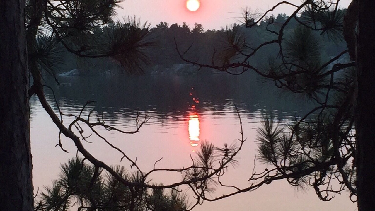 Photo of Others in Addington Highlands