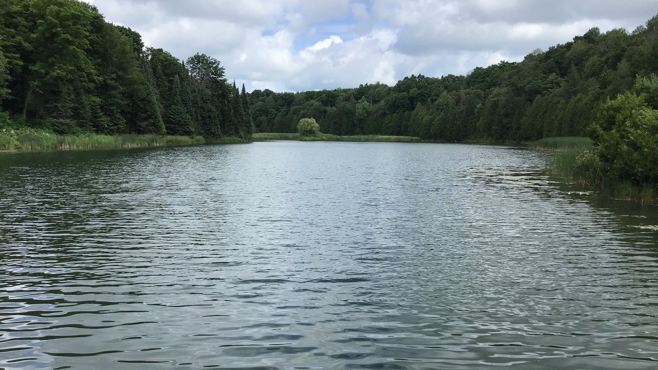 Photo of Outdoor in Mulmur