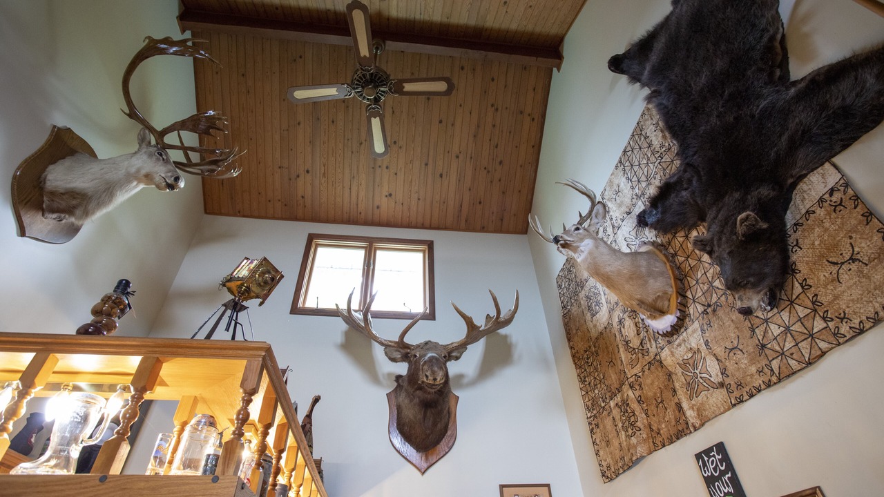 Photo of Bedroom in Georgian Bay