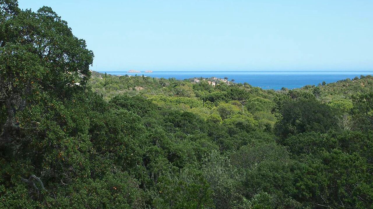 Photo of Others in Santa Giulia