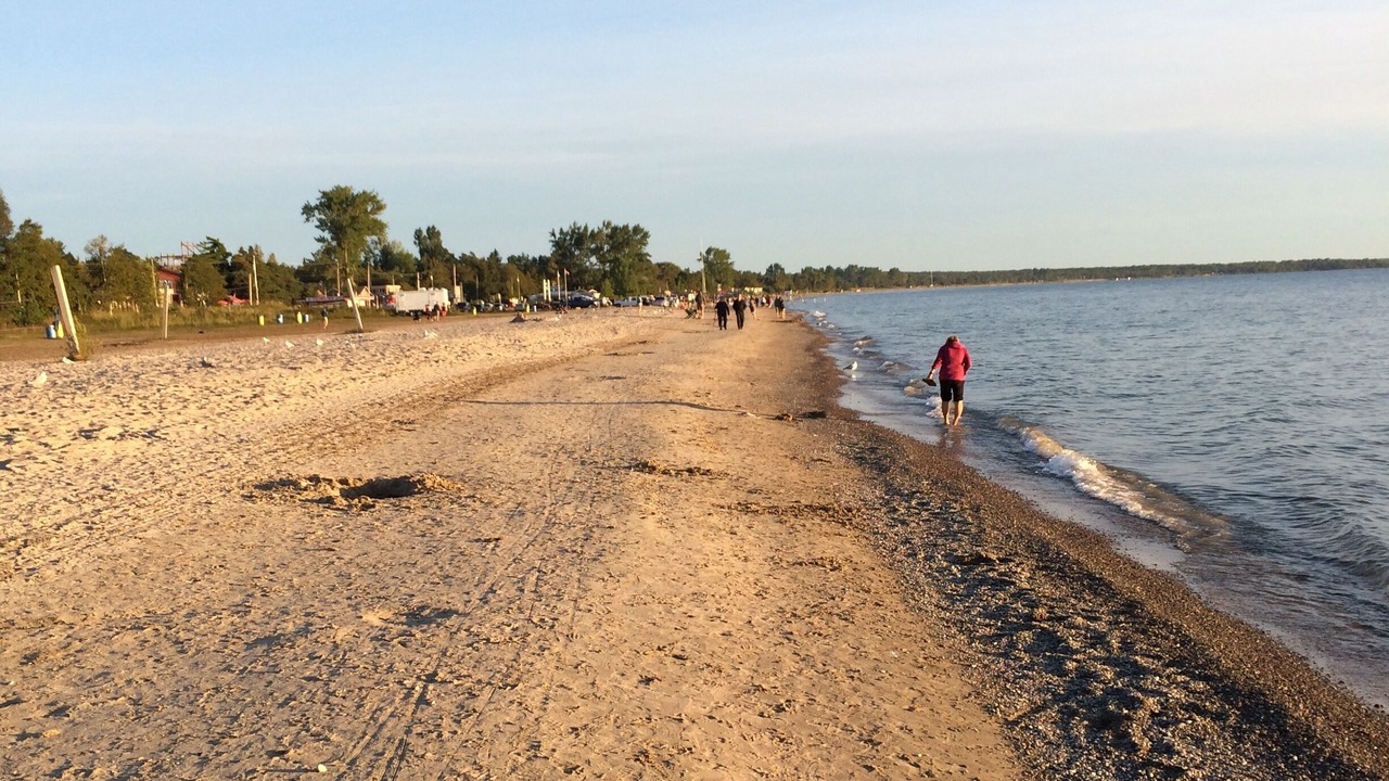 Photo of Others in Shallow Lake