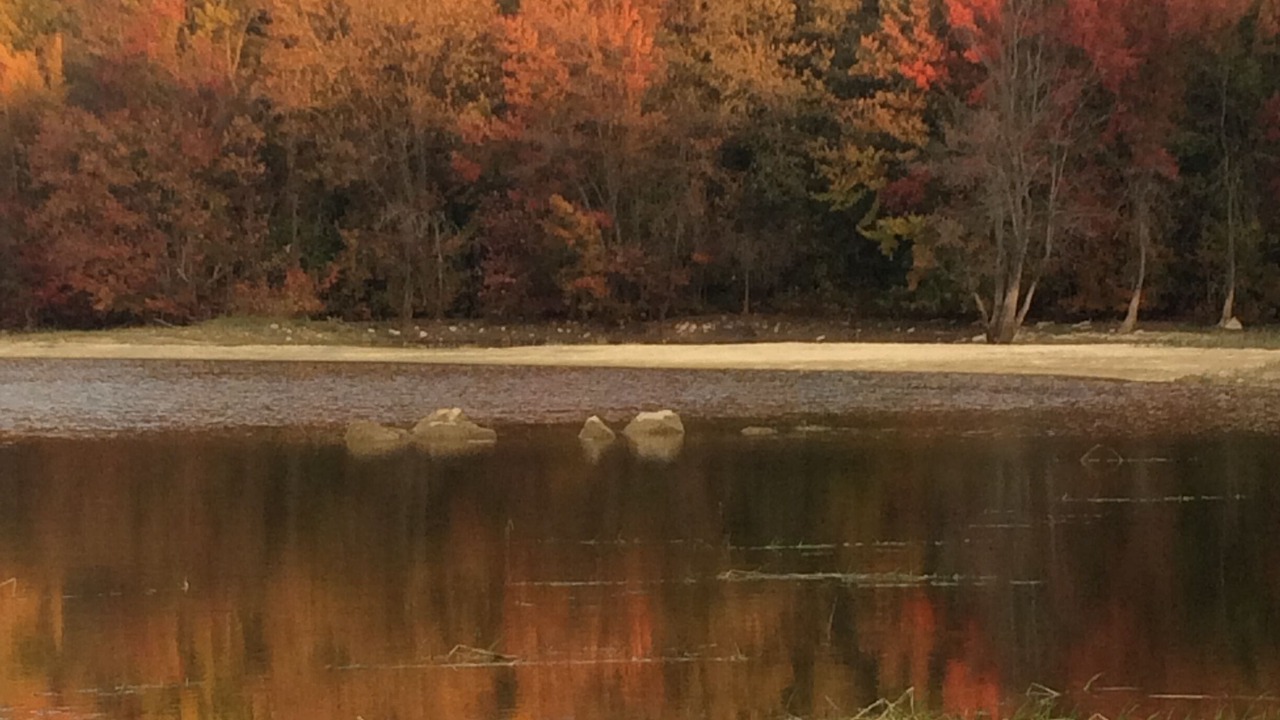 Photo of Outdoor in Shallow Lake