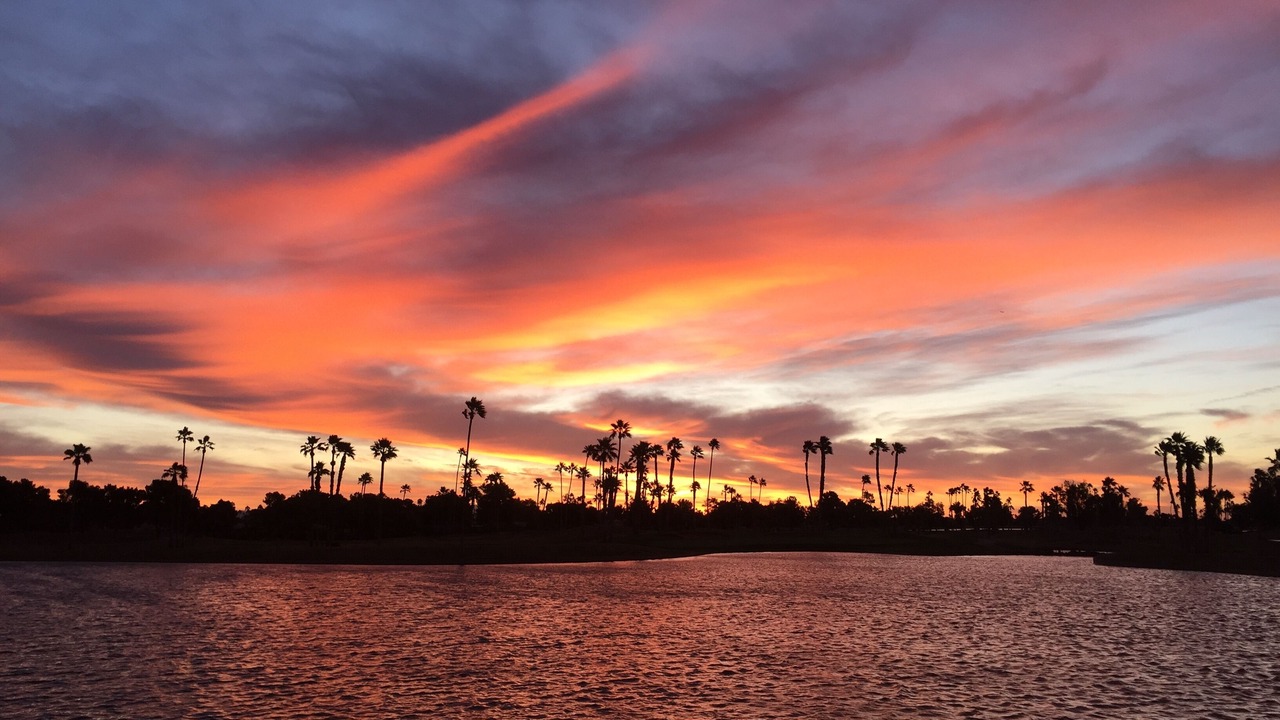 Photo of Others in South Scottsdale
