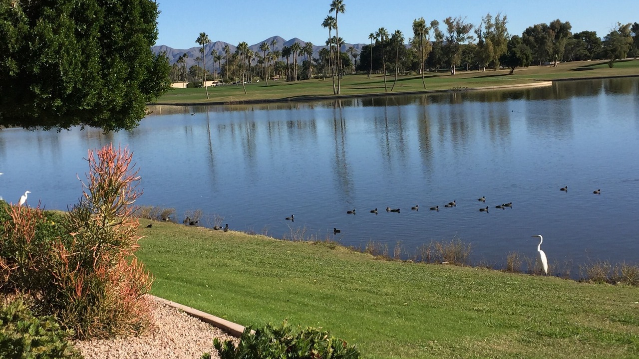 Photo of Others in South Scottsdale