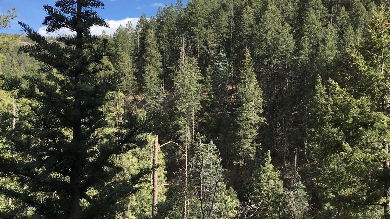 Photo of Others in Prescott