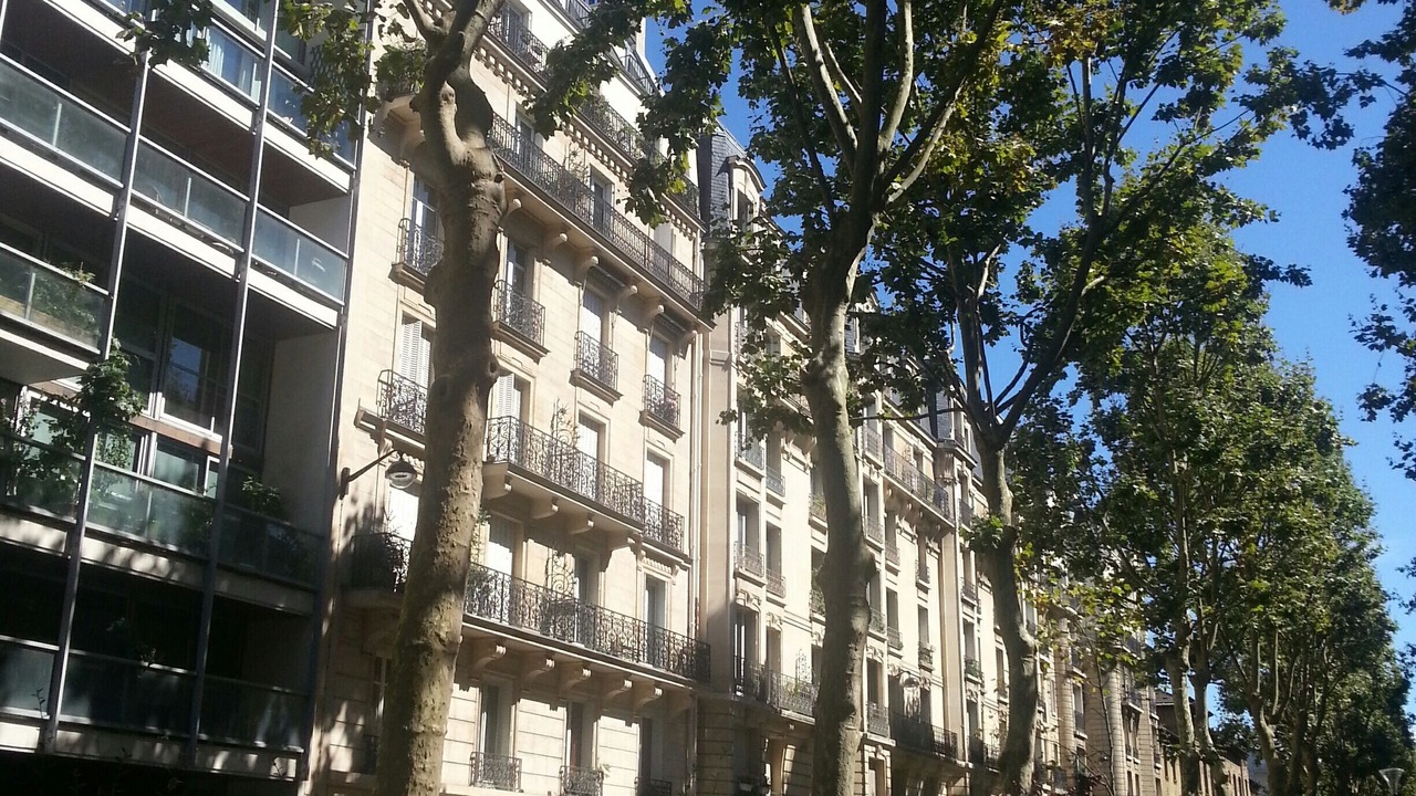 Photo of Outdoor in Parc-de-Montsouris