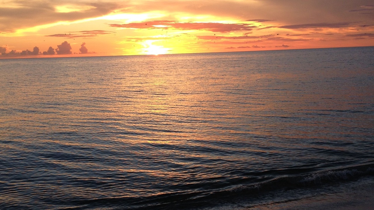 Photo of Others in Marco Island