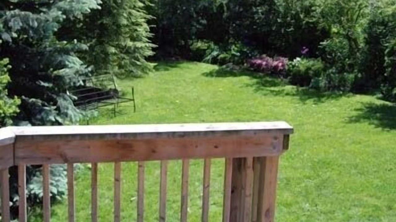 Photo of Outdoor in East York