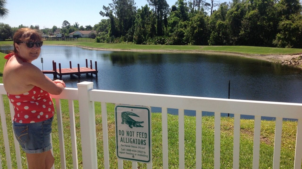 Photo of Outdoor in Haines City