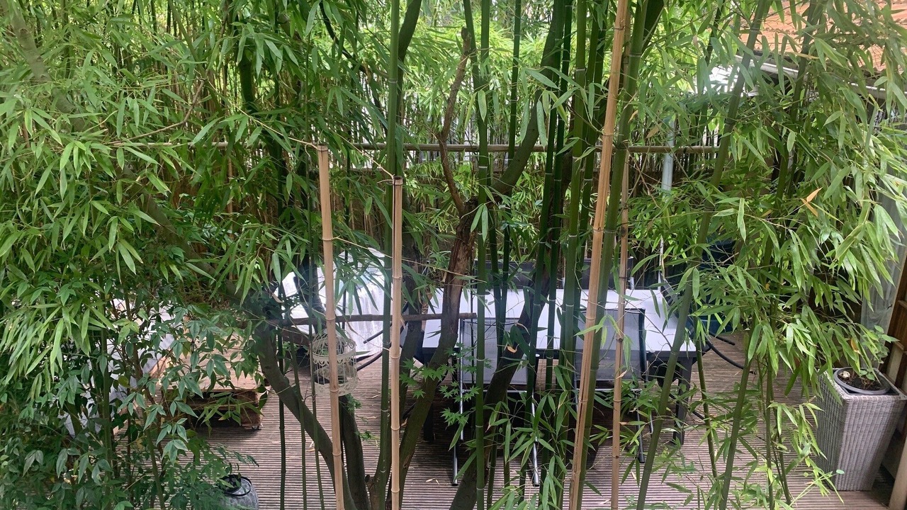 Photo of Outdoor in Bry-sur-Marne