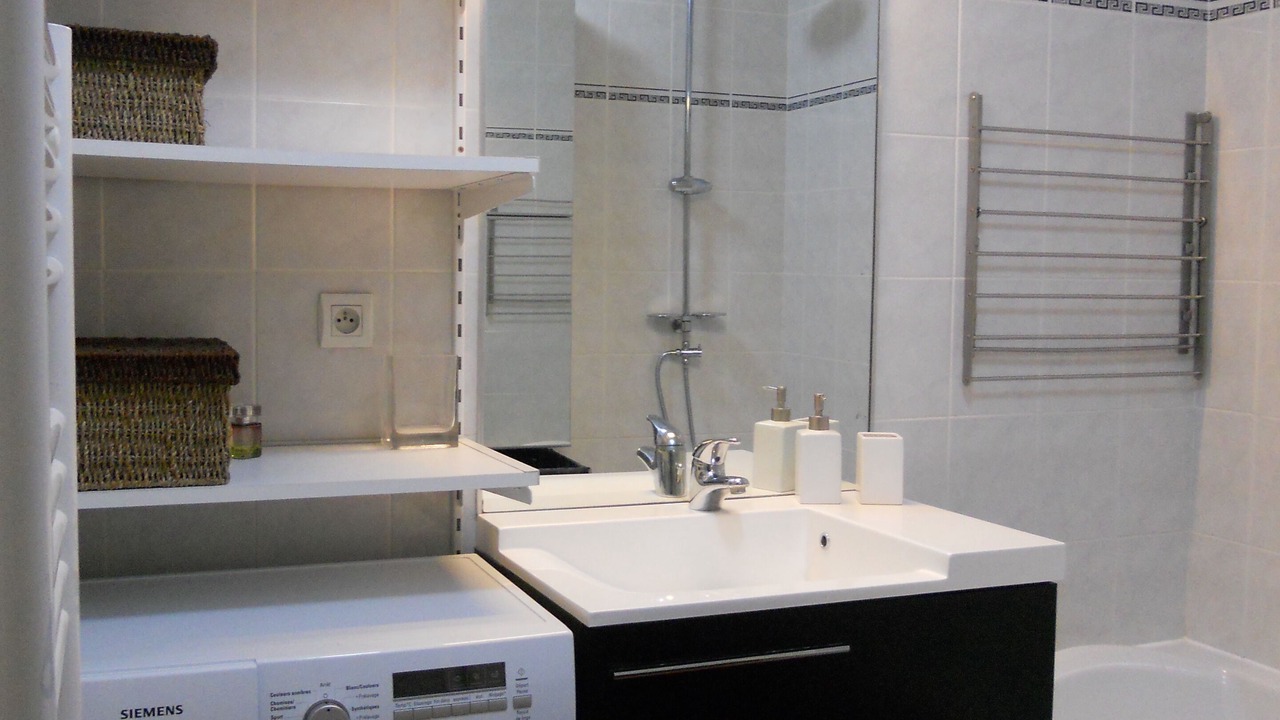 Photo of Bathroom in Saint-Denis