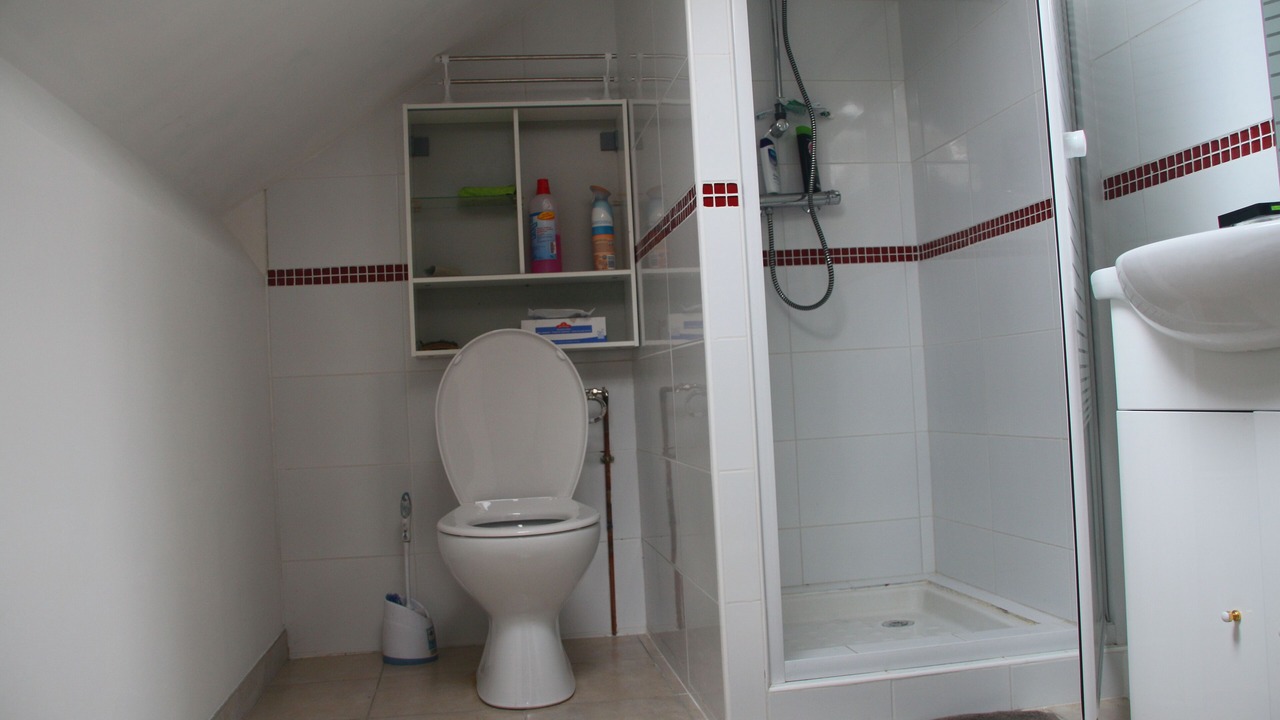 Photo of Bathroom in Chelles
