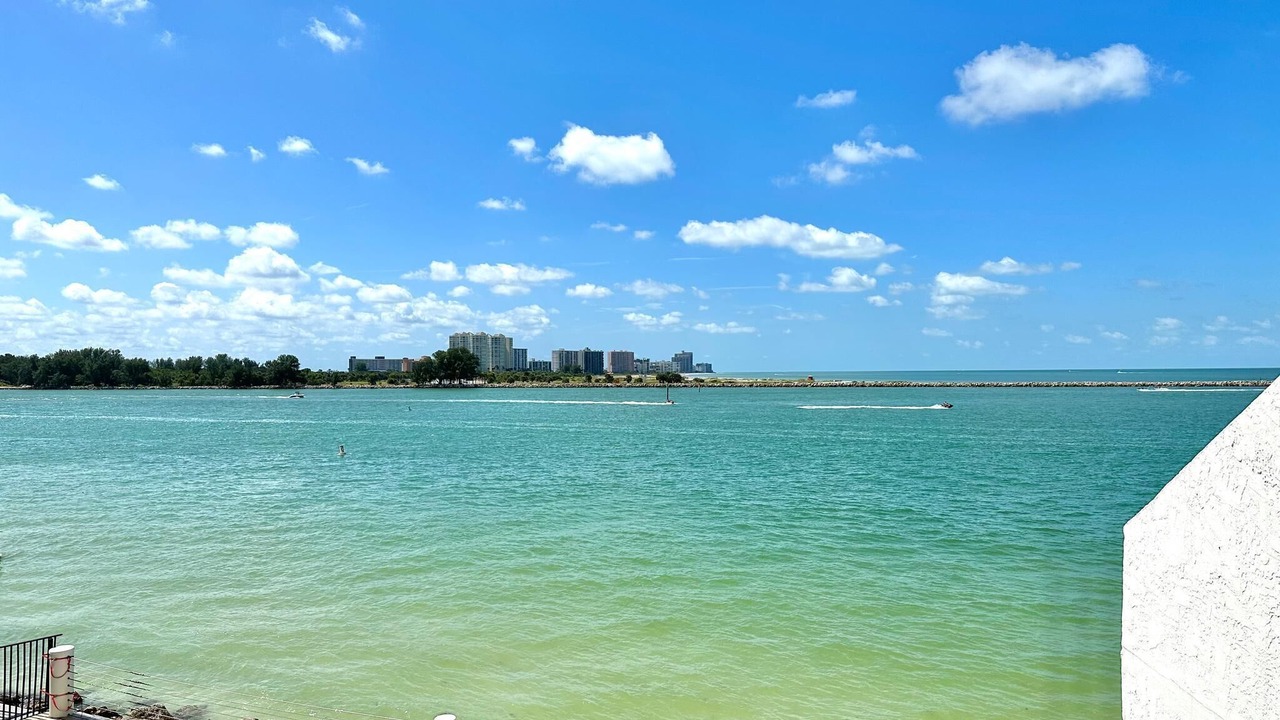 Photo of Others in Clearwater Beach