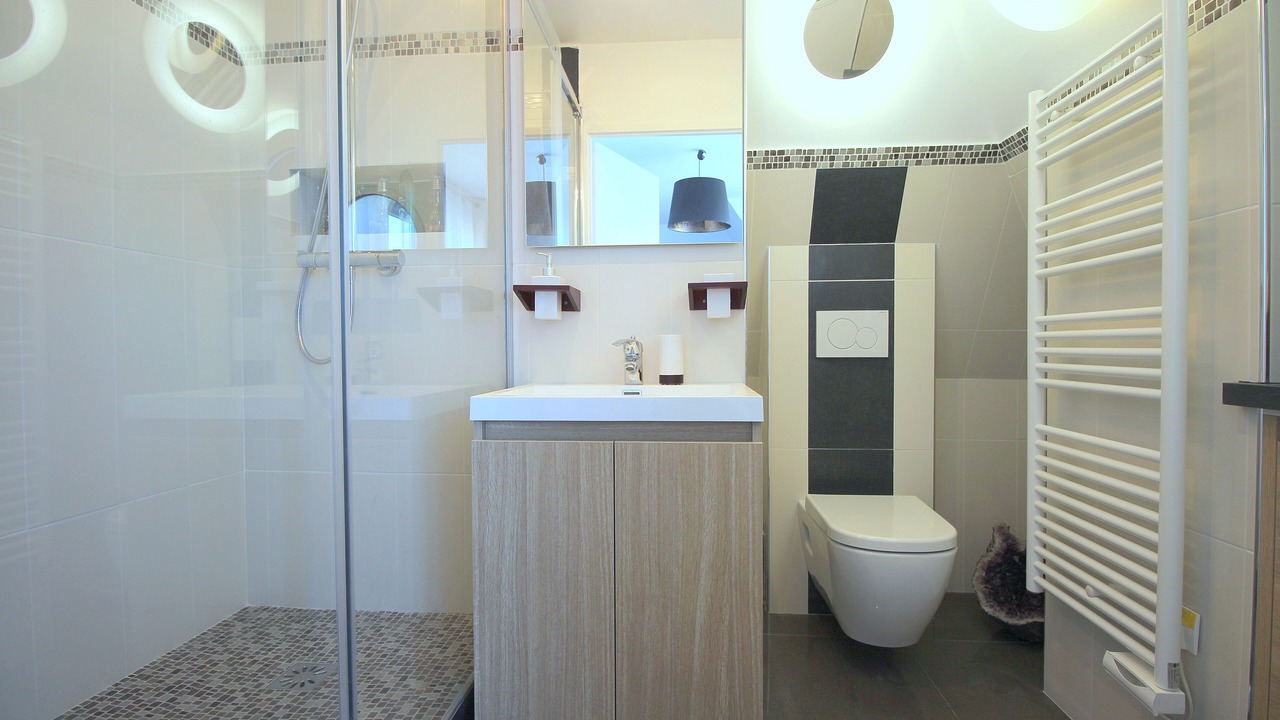 Photo of Bathroom in Serris