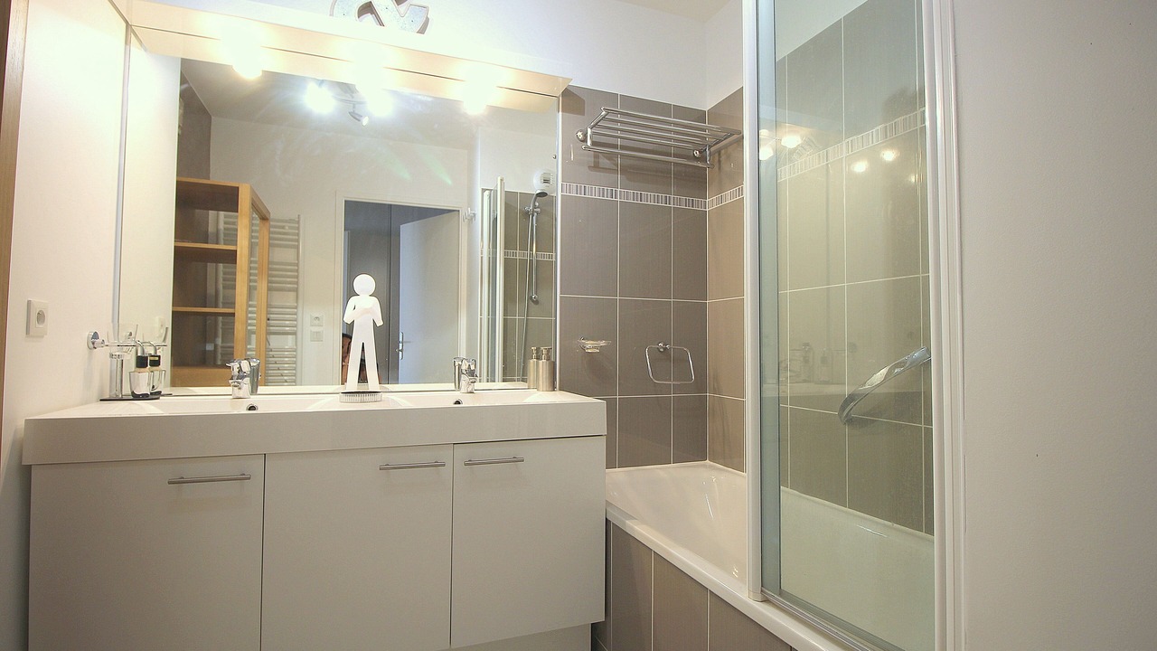 Photo of Bathroom in Serris