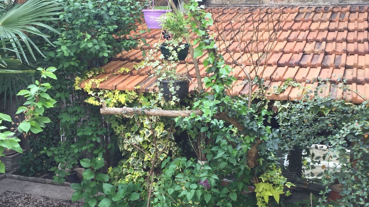 Photo of Outdoor in Montrouge