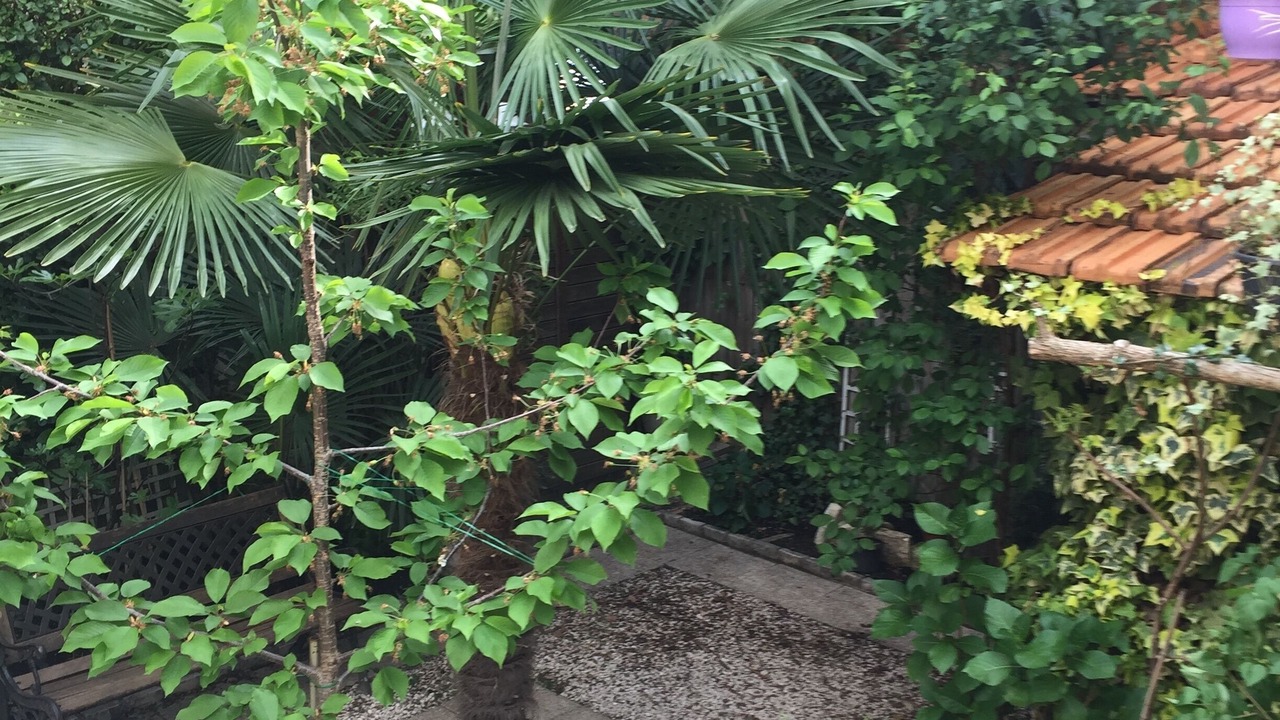 Photo of Outdoor in Montrouge