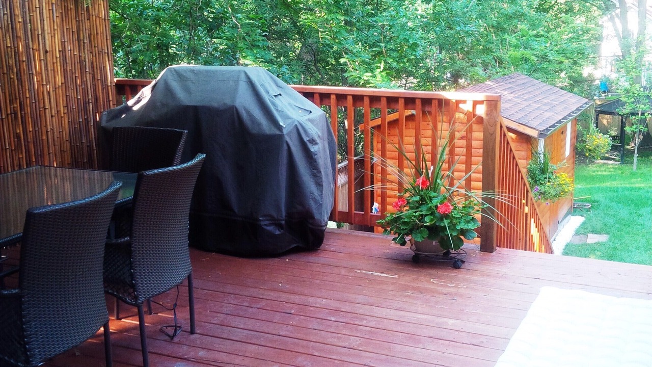 Photo of Outdoor in Upper Beaches