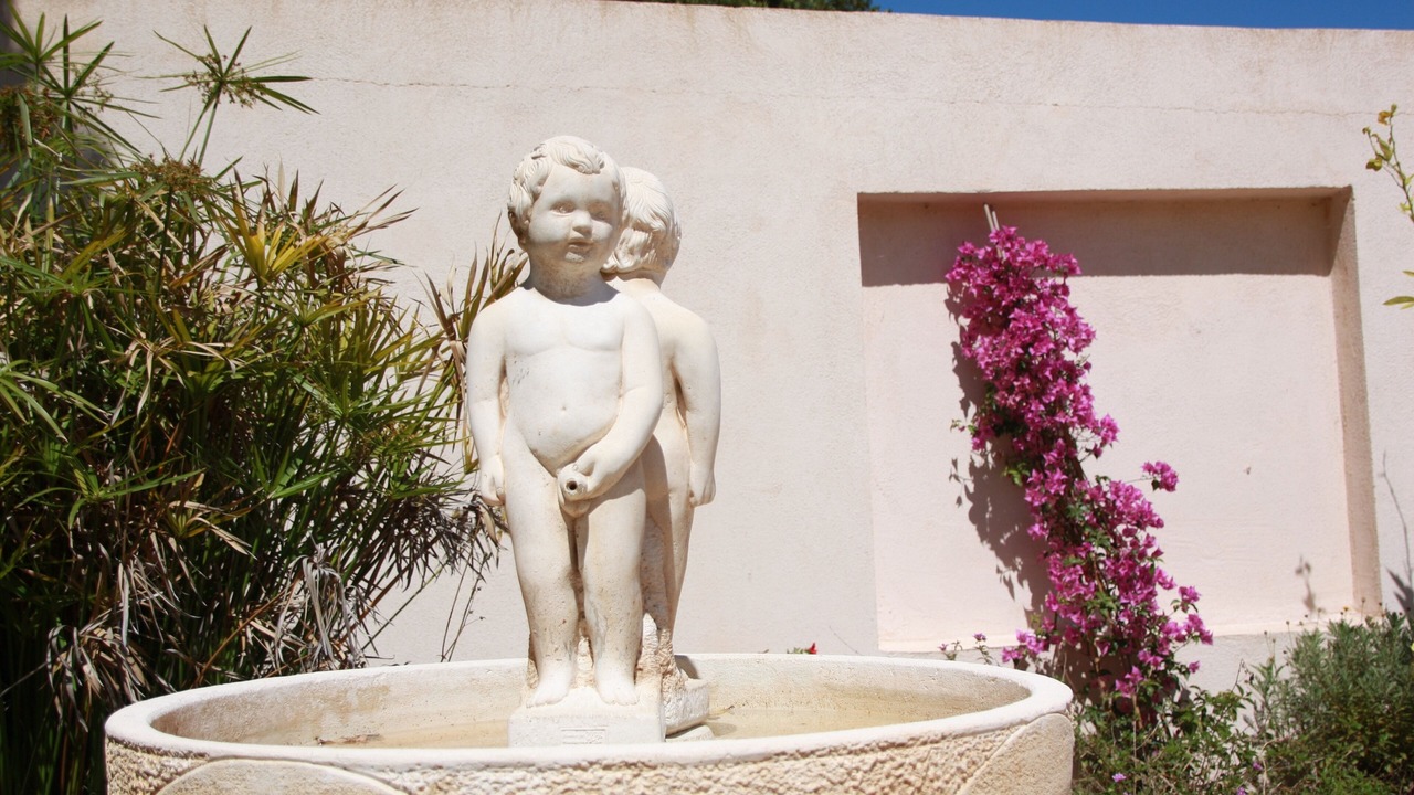 Photo of Outdoor in Favone