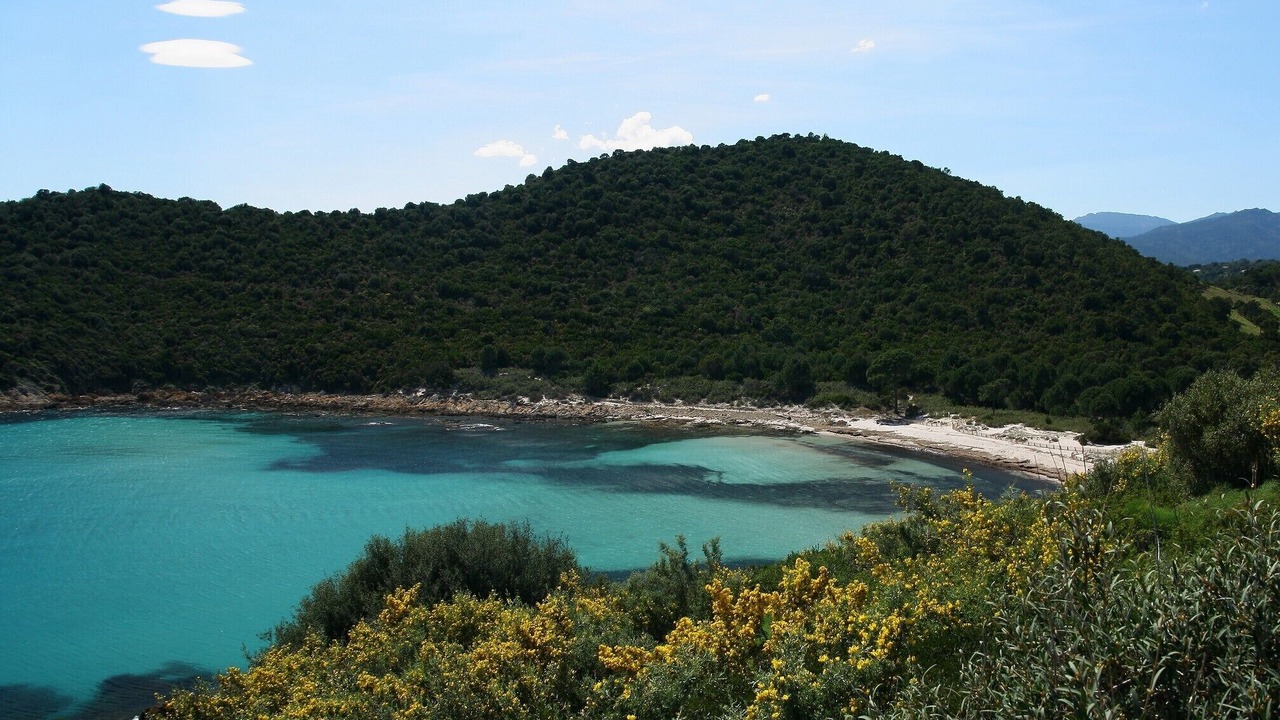 Photo of Others in Zonza
