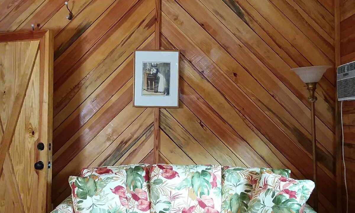 Photo of Livingroom in Plant City