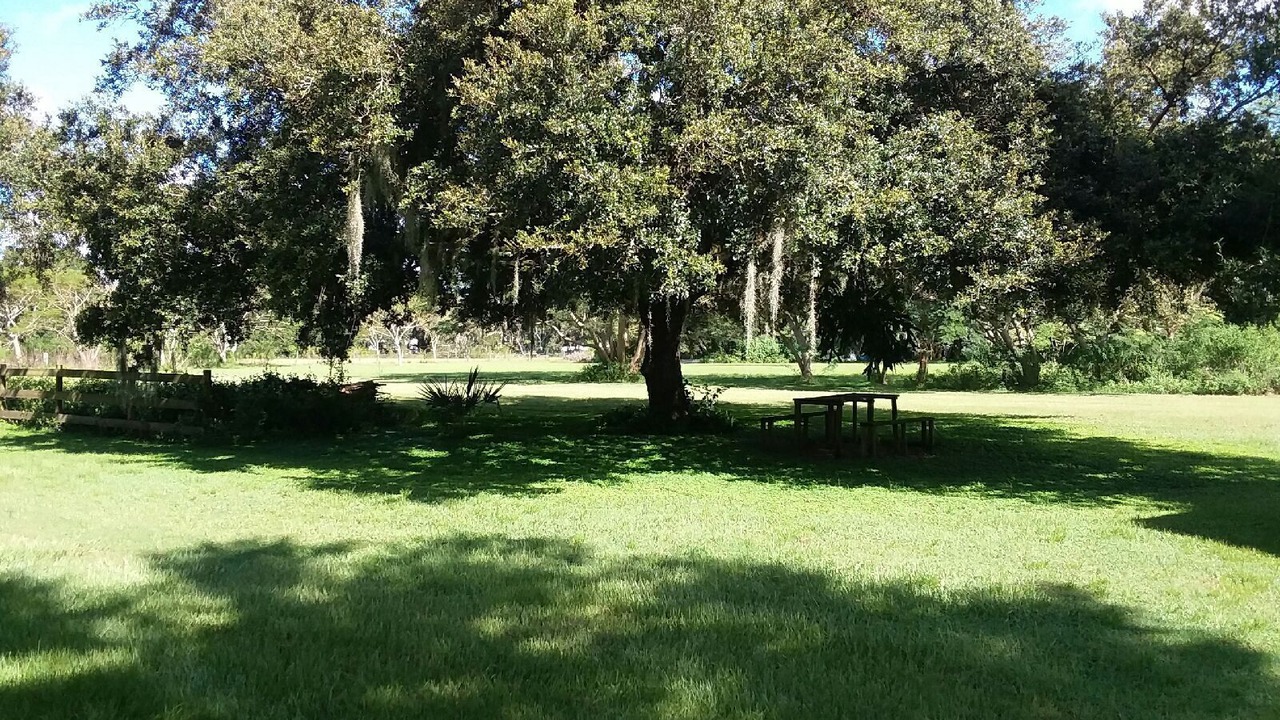 Photo of Outdoor in Plant City
