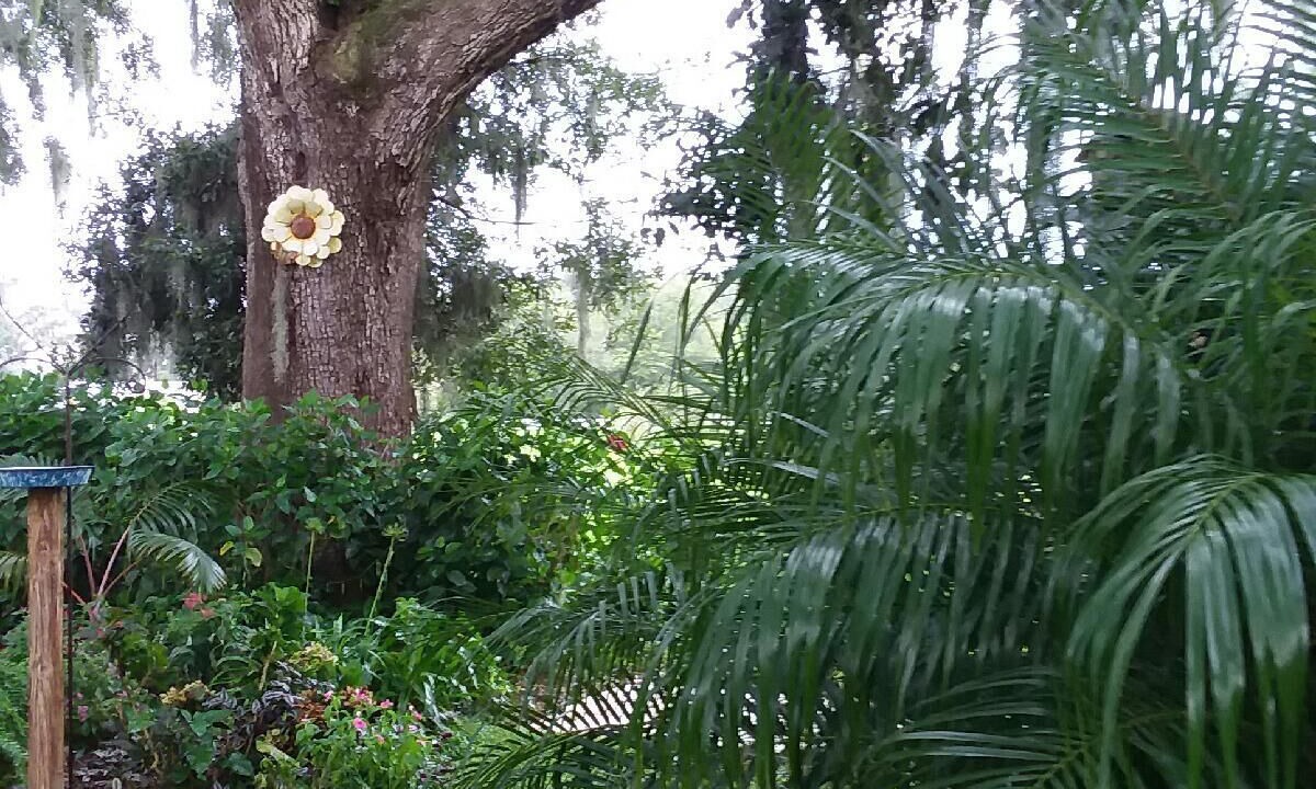 Photo of Outdoor in Plant City