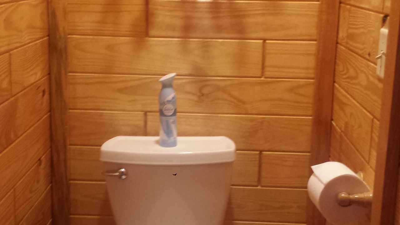 Photo of Bathroom in Plant City