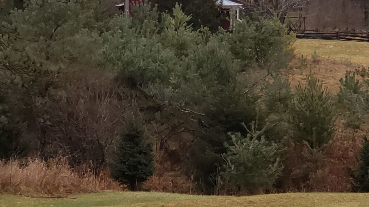Photo of Outdoor in Adjala-Tosorontio