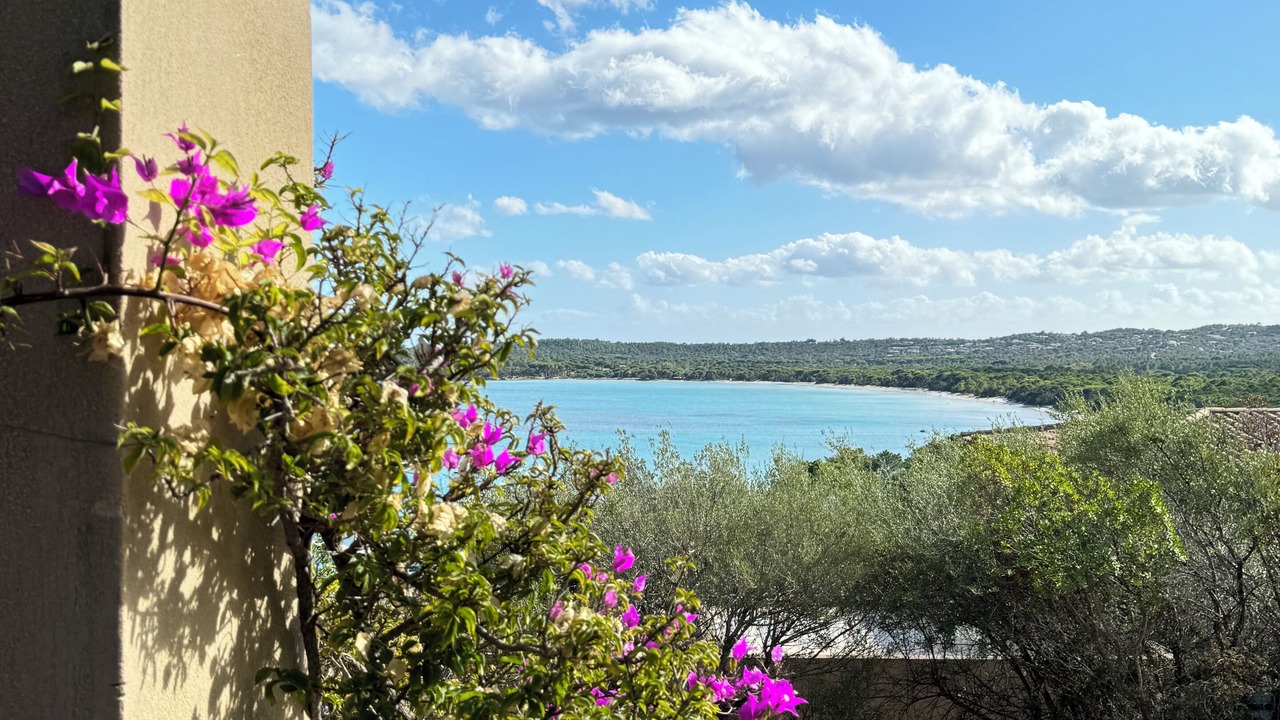 Photo of Outdoor in Zonza