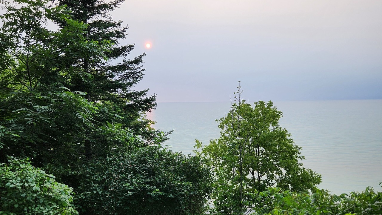 Photo of Outdoor in Dashwood