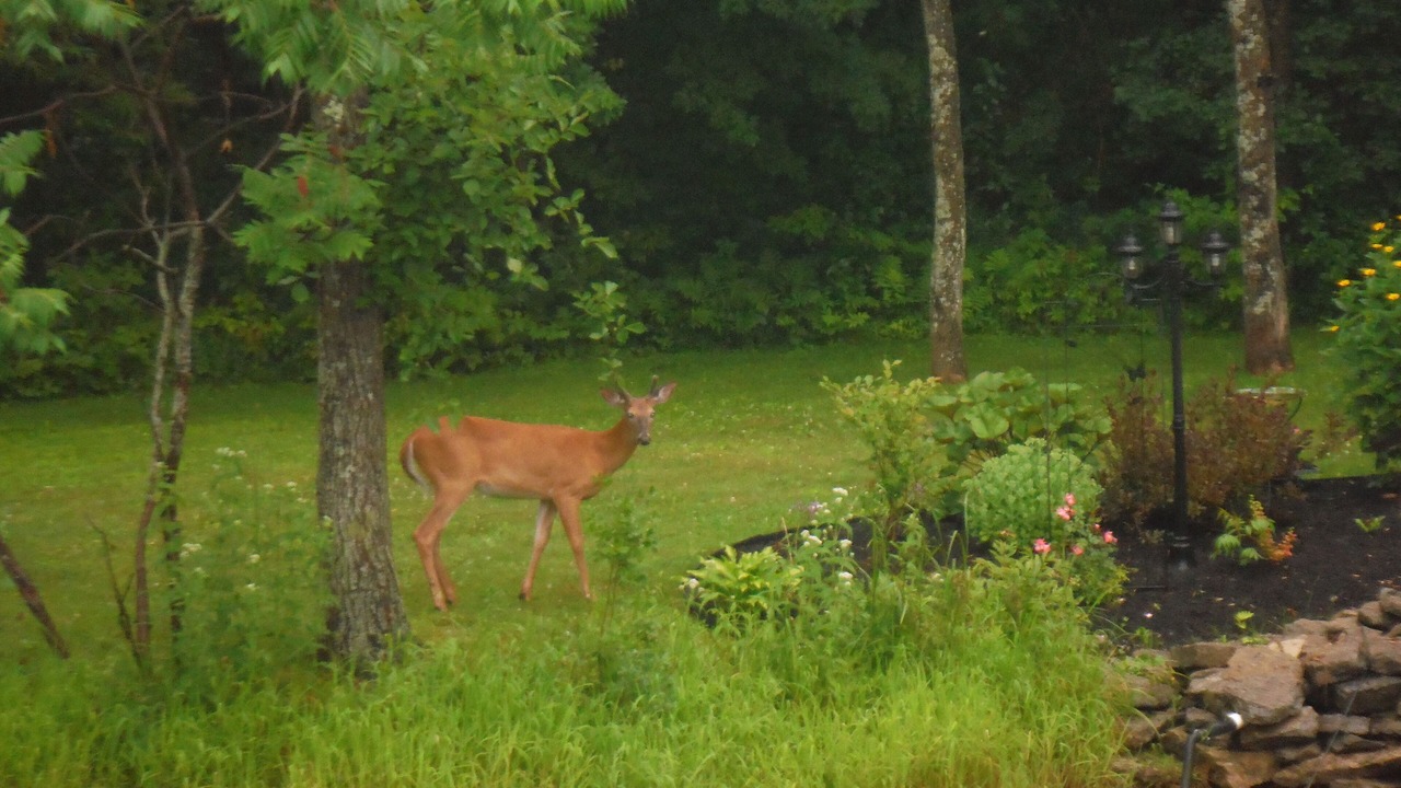 Photo of Outdoor in Whitewater Region