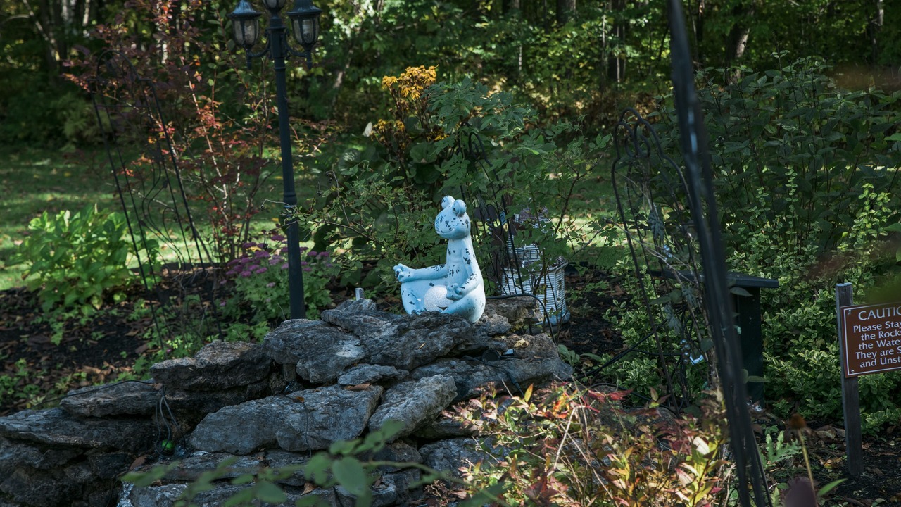 Photo of Others in Whitewater Region
