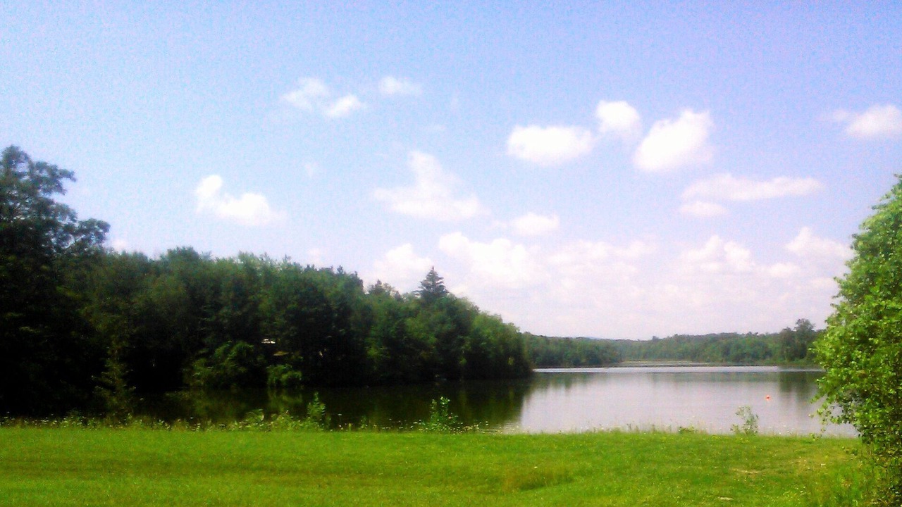 Photo of Outdoor in New Lowell