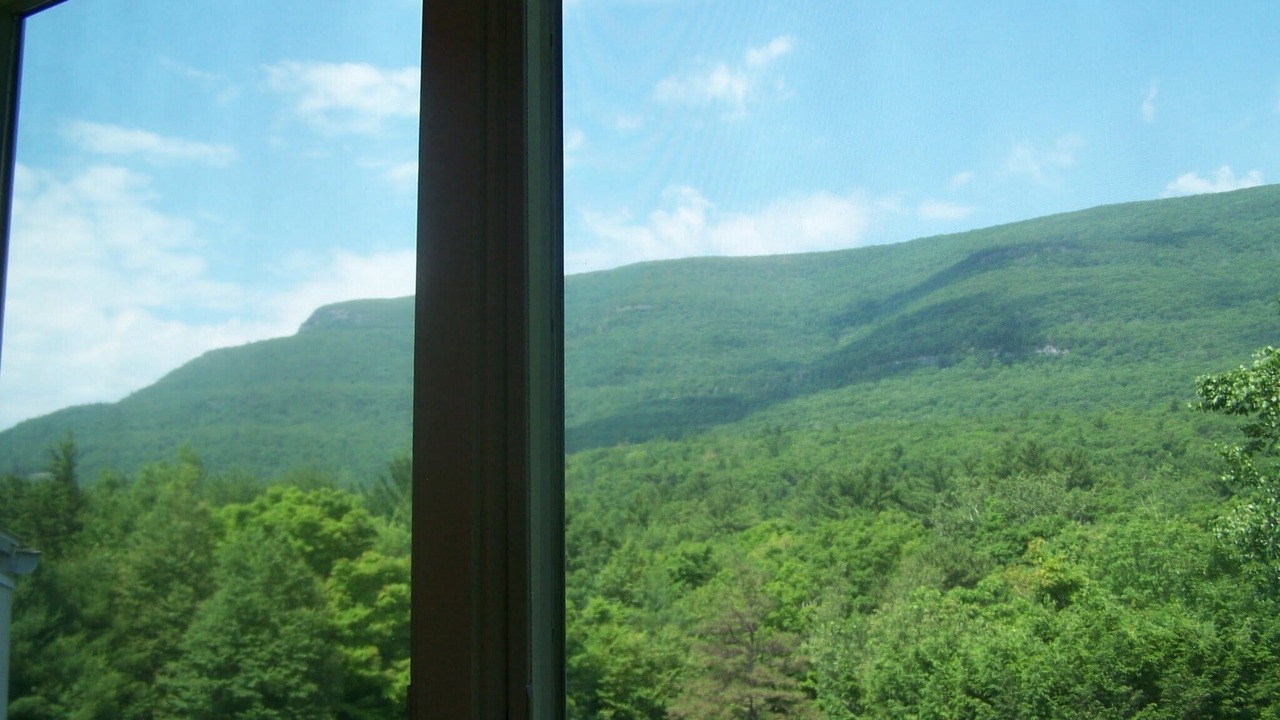 Photo of Outdoor in Saugerties