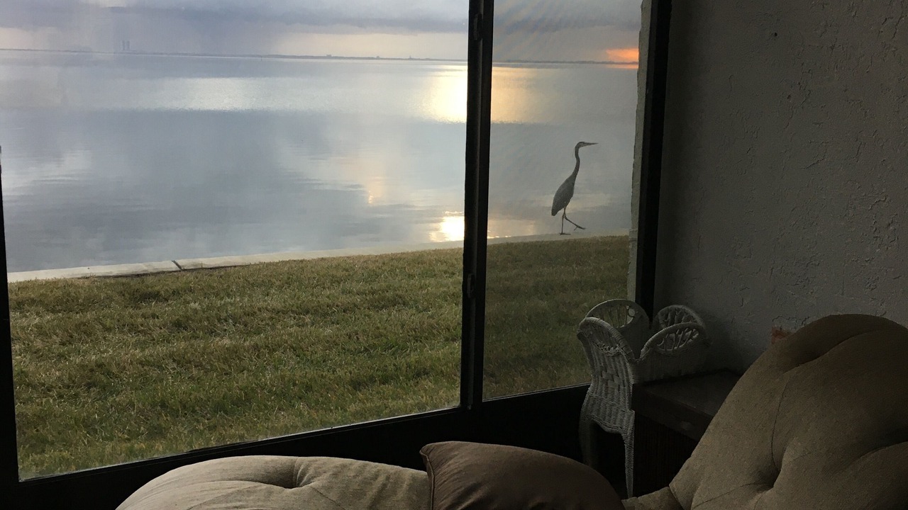 Photo of Others in Titusville