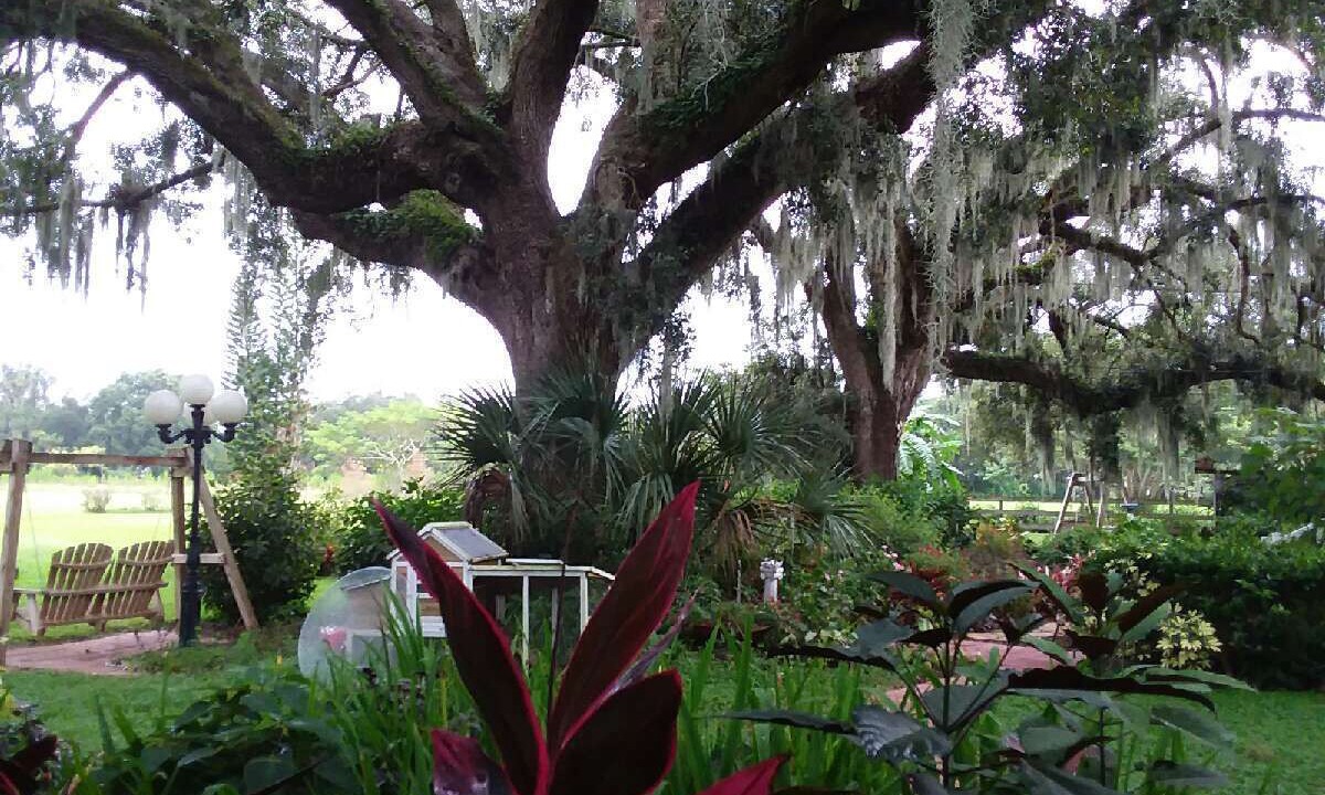 Photo of Outdoor in Plant City