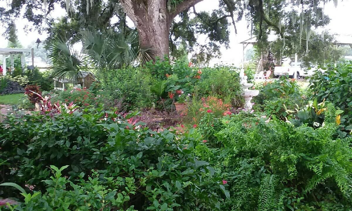 Photo of Outdoor in Plant City