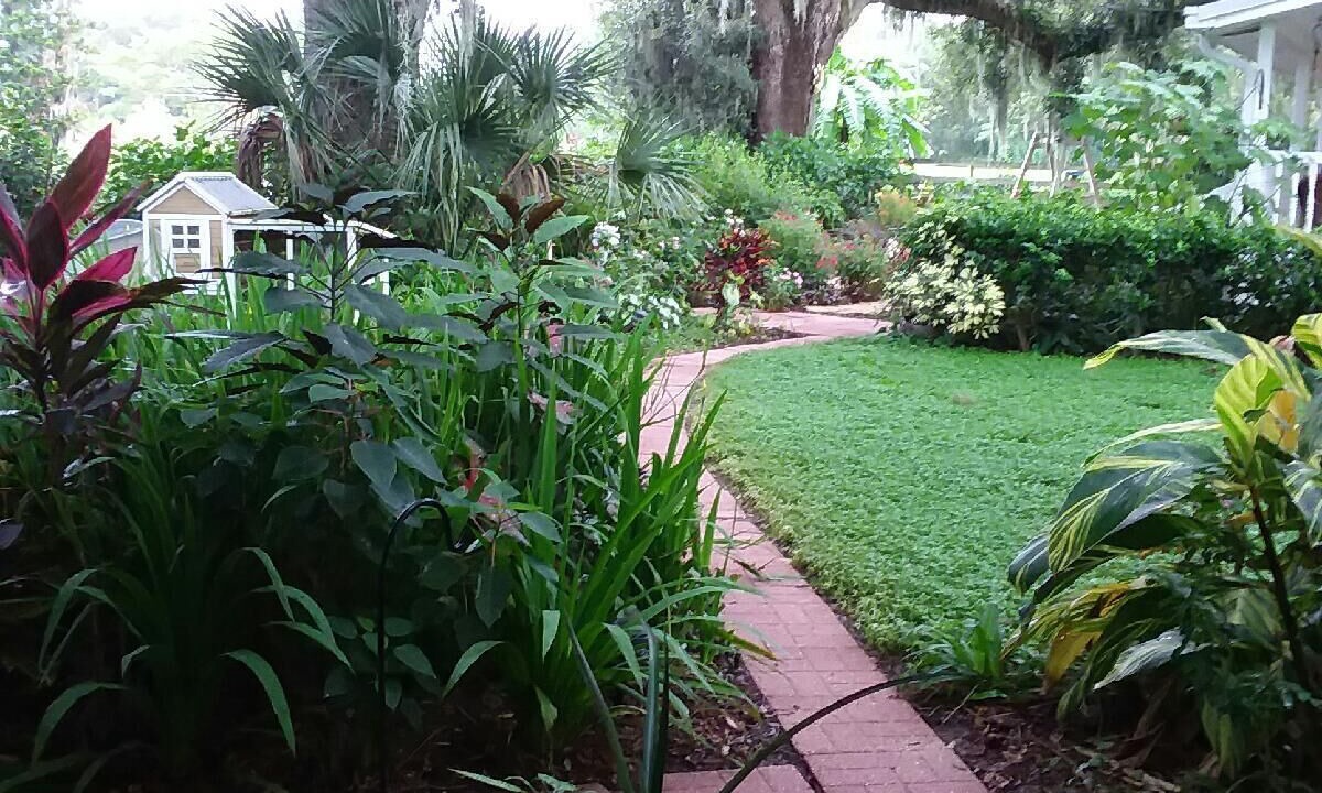 Photo of Outdoor in Plant City