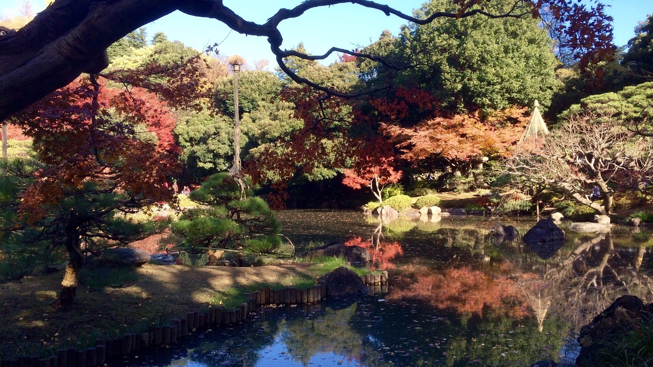 Photo of Outdoor in Toshima