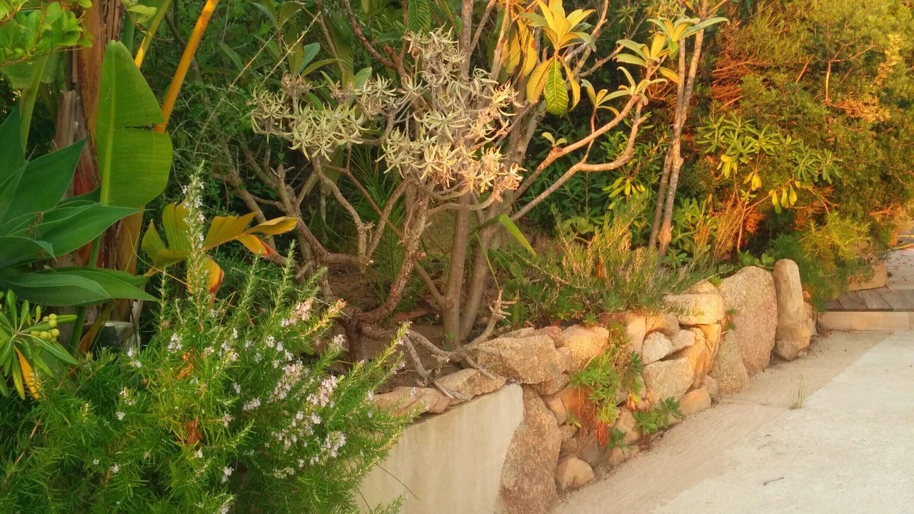 Photo of Outdoor in Pietrosella